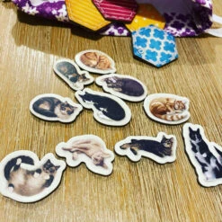 Calico -Table Jeux Magasin calico 6