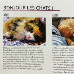 Calico -Table Jeux Magasin calico 7