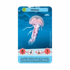 Défis Nature Junior : Merveilles De La Mer -Table Jeux Magasin defis nature junior merveilles de la mer 2