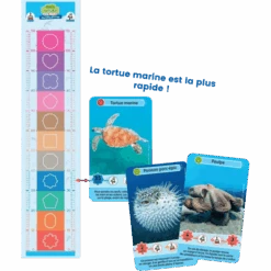 Défis Nature Junior : Merveilles De La Mer -Table Jeux Magasin defis nature junior merveilles de la mer 3