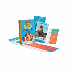 Défis Nature Junior : Merveilles De La Mer -Table Jeux Magasin defis nature junior merveilles de la mer 5