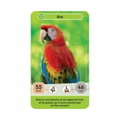 Défis Nature Junior : Mystères De La Jungle -Table Jeux Magasin defis nature junior mysteres de la jungle 2