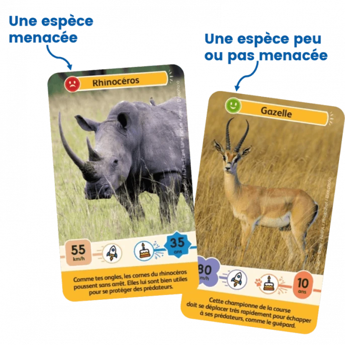 Défis Nature Junior : Rois De La Savane 4 Défis Nature Junior : Rois De La Savane – Image 2