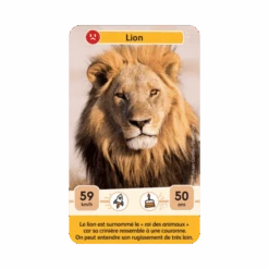 Défis Nature Junior : Rois De La Savane 10 Défis Nature Junior : Rois De La Savane -Table Jeux Magasin defis nature junior rois de la savane 2