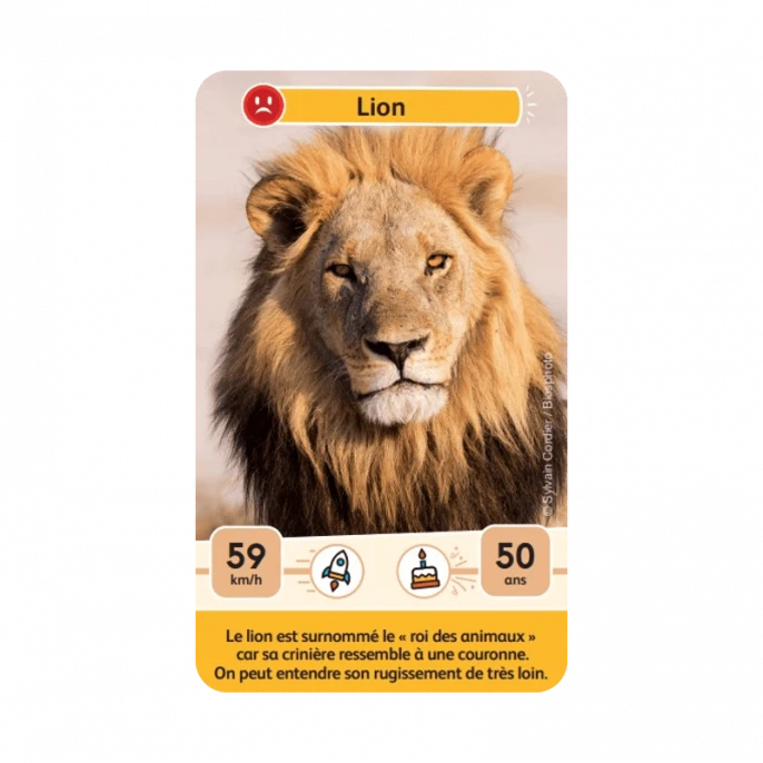 Défis Nature Junior : Rois De La Savane 5 Défis Nature Junior : Rois De La Savane – Image 3
