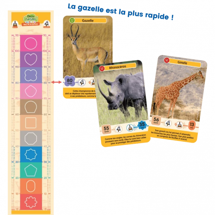 Défis Nature Junior : Rois De La Savane 6 Défis Nature Junior : Rois De La Savane – Image 4