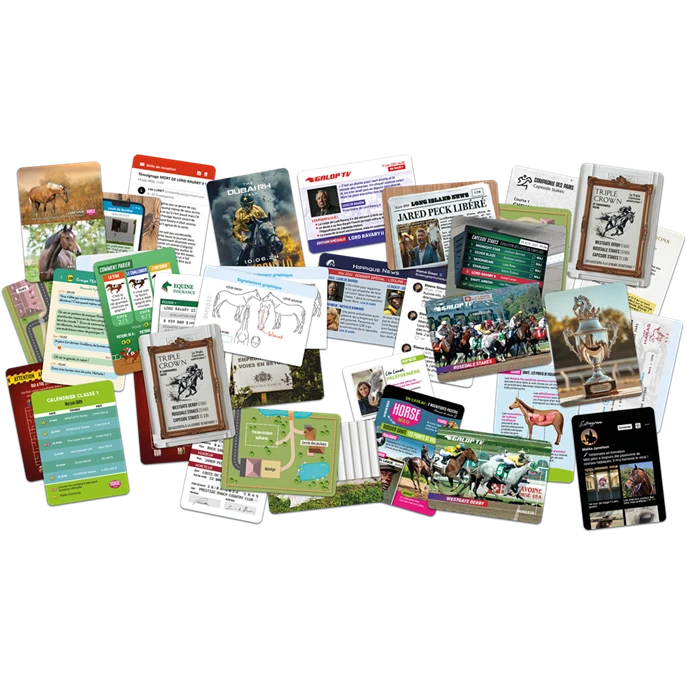 GIGAMIC Dossiers Criminels Pocket : Qui A Tué Lord Ravary II ? 4 GIGAMIC Dossiers Criminels Pocket : Qui A Tué Lord Ravary II ? – Image 2