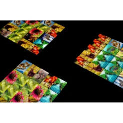 Ecosystème : Forêt -Table Jeux Magasin ecosystem 3