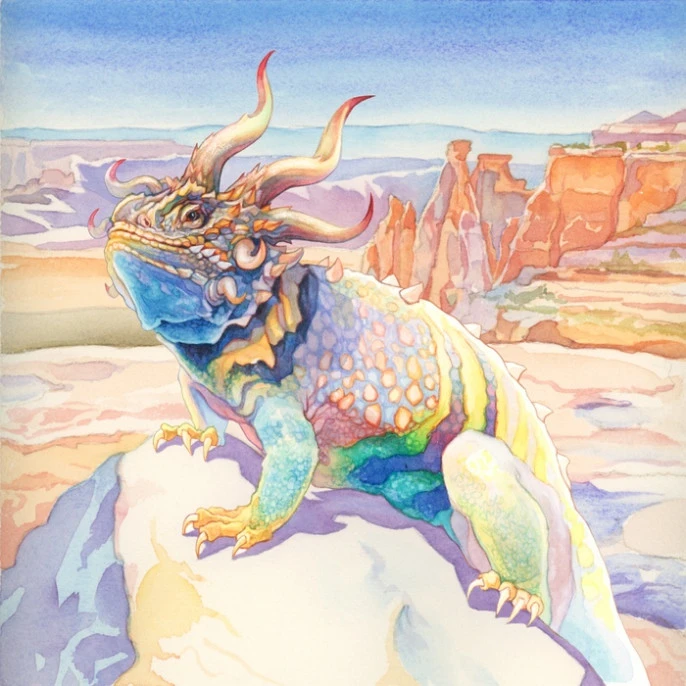 Iello Evolution 8 Iello Evolution – Image 6