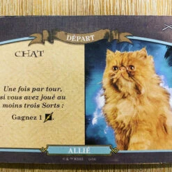 Harry Potter : Defense Contre Les Forces Du Mal 13 Harry Potter : Defense Contre Les Forces Du Mal -Table Jeux Magasin harry potter defense contre les forces du mal 4