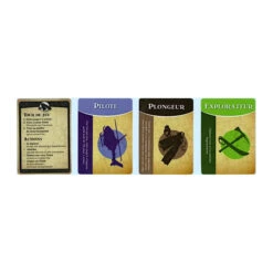 L'Île Interdite -Table Jeux Magasin ile interdite 2