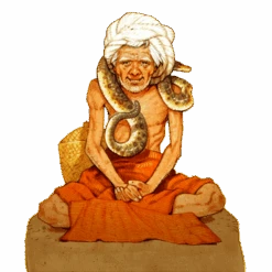 Iello Jaipur -Table Jeux Magasin jaipur 2