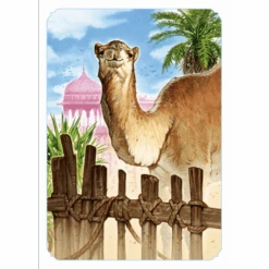 Iello Jaipur -Table Jeux Magasin jaipur 4