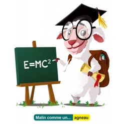 JetLag -Table Jeux Magasin jetlag 5