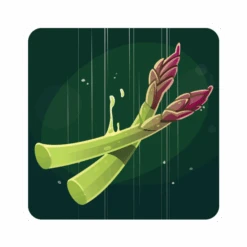 Sandwich MasterClass 35 Sandwich MasterClass -Table Jeux Magasin sandwich masterclass 12