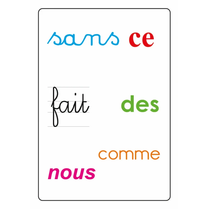 Tam Tam Safari : Les Mots Outils Du CP 5 Tam Tam Safari : Les Mots Outils Du CP – Image 3