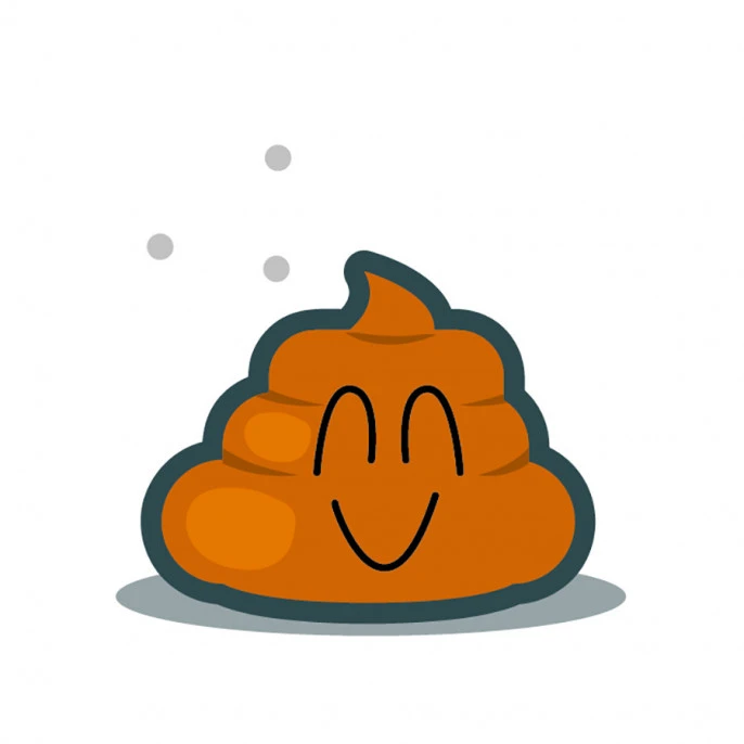 Top Ten 5 Top Ten – Image 3