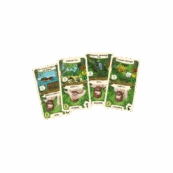 Vendredi -Table Jeux Magasin vendredi 2